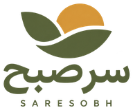 سرصبح